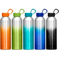 Altitude Island Aluminium Water Bottle - 650ml