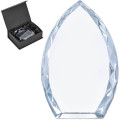 Altitude Trident Award